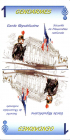 0025-21Gendarmeatout01