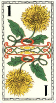 0062-21FleursAtout01