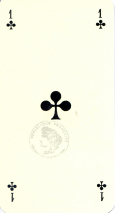 0062-78FleursTAs