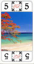 0118-17GuadeloupeAtout05