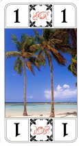 0118-21GuadeloupeAtout01