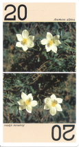 0141-02RegionAlpineAtout20