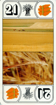 0194-01MalteriesAtout21