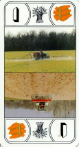 0194-21MalteriesAtout01