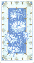 0258-79DondorfDos