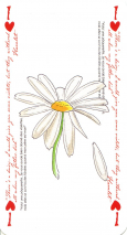 0280-50RosensveigCAs