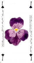 0280-78RosensveigTAs