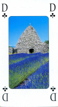 0288-66ProvenceTDame