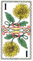 0308-21FleursAtout01