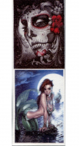 0354-90MaeveyEtuiG