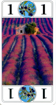 0355-21ProvenceAlpesAtout01