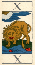 0376-12AnimalierAtout10