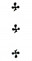 0389-76AnimalierT03