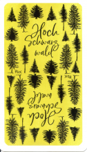 0430-79ForêtNoireDos