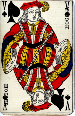 8005-25Jeu6PCav